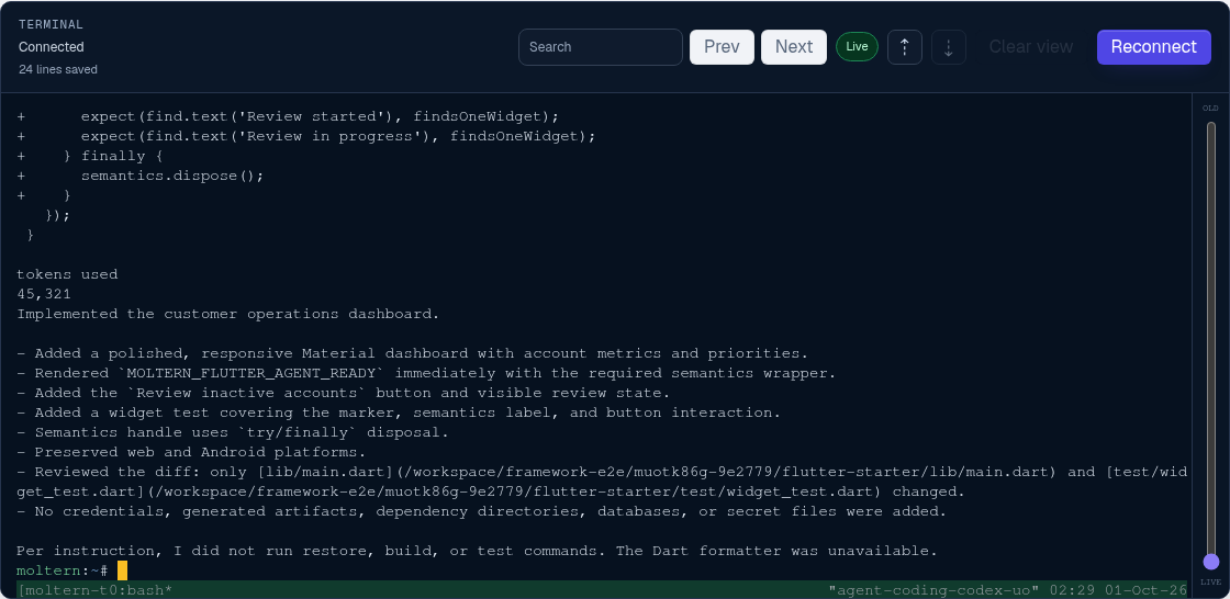 Codex completing the Flutter interface change in the Moltern terminal