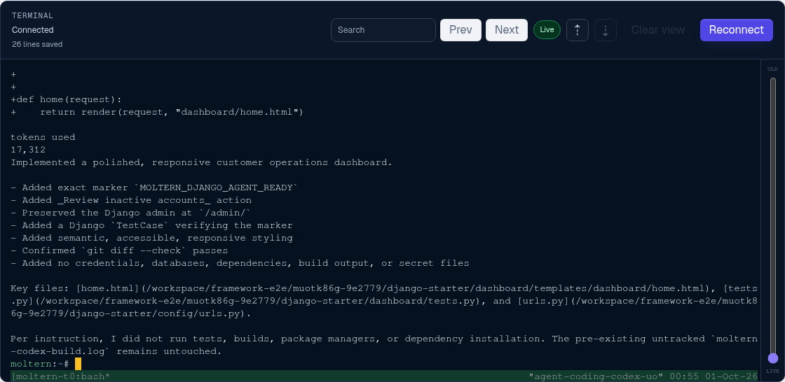 Codex completing and validating the Django change in the Moltern terminal