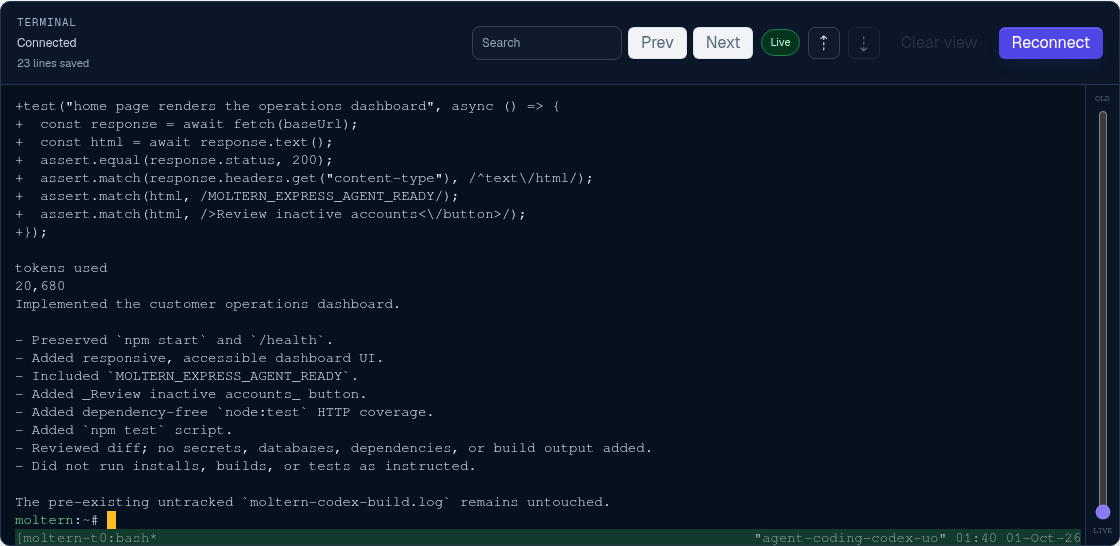Codex completing the Express application change in the Moltern terminal