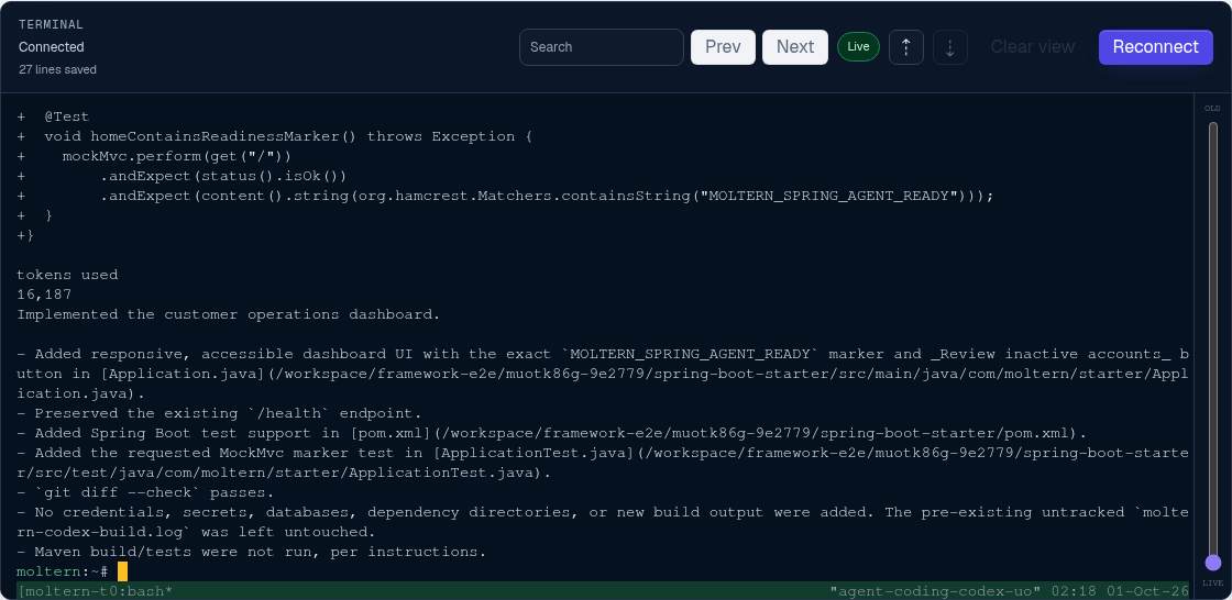 Codex completing the Spring Boot application change in the Moltern terminal