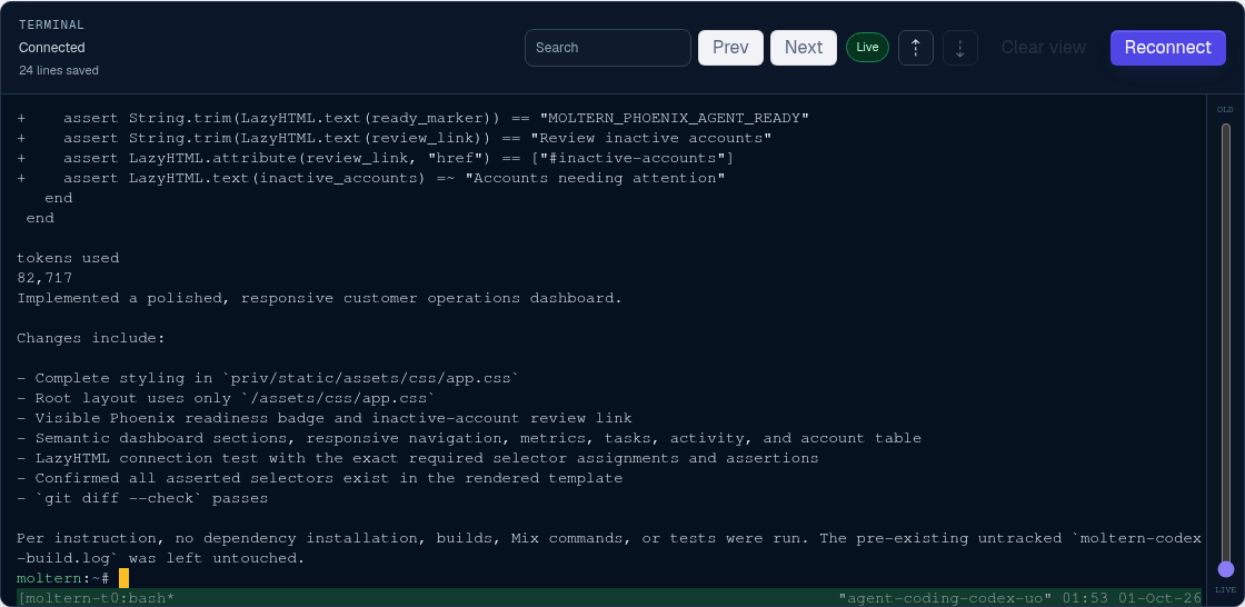 Codex completing the Phoenix application change in the Moltern terminal