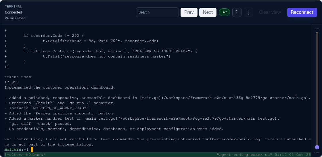 Codex completing the Go application change in the Moltern terminal