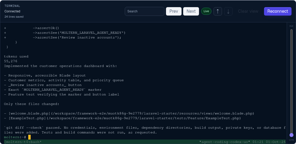 Codex completing the Laravel application change in the Moltern terminal