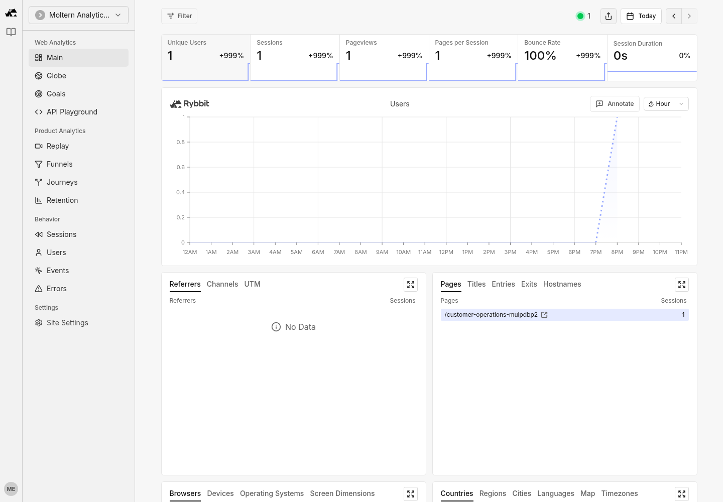 Rybbit site dashboard showing a retained page view after restart
