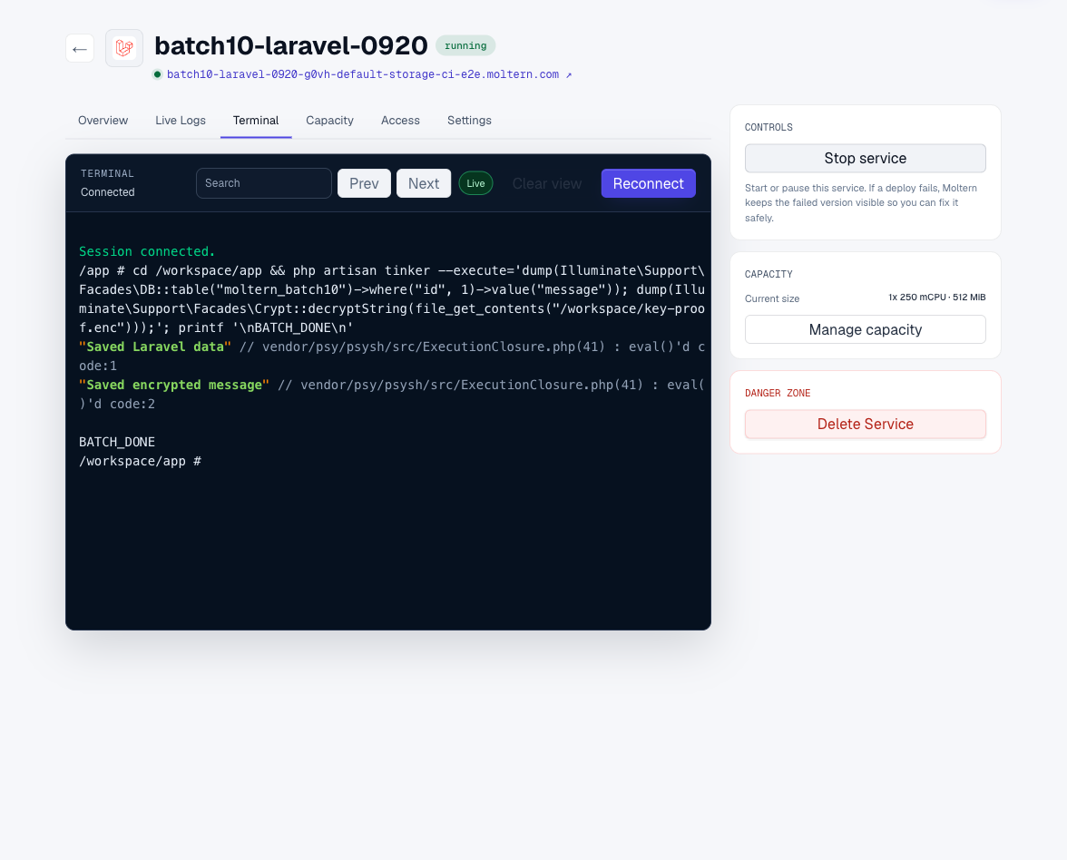 Reading saved data and decrypting a test value after runtime replacement