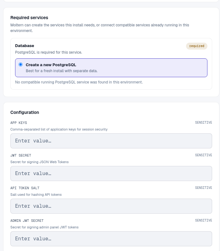 Strapi deployment preview with its managed database and capacity