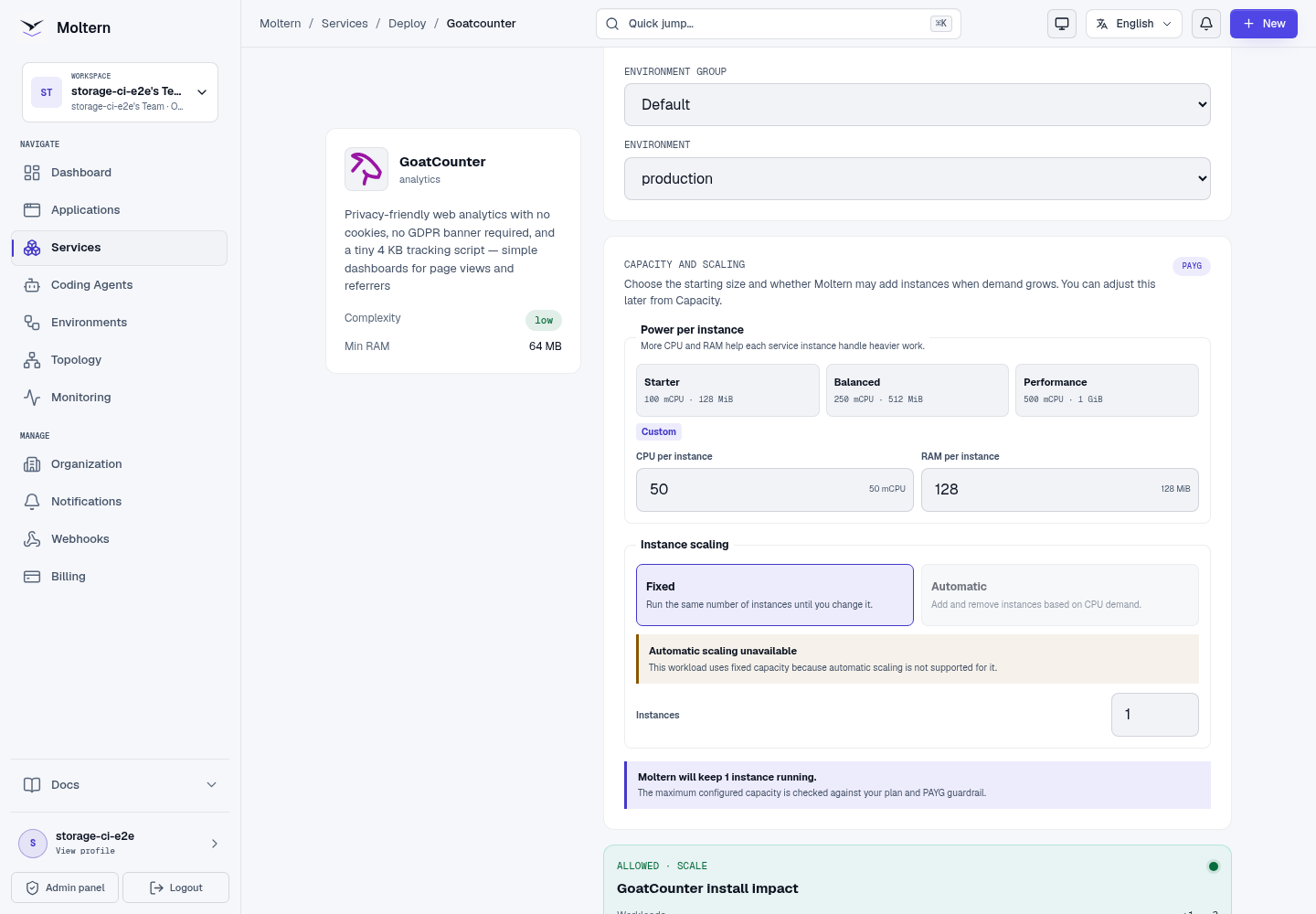 GoatCounter deployment preview showing one workspace-backed service
