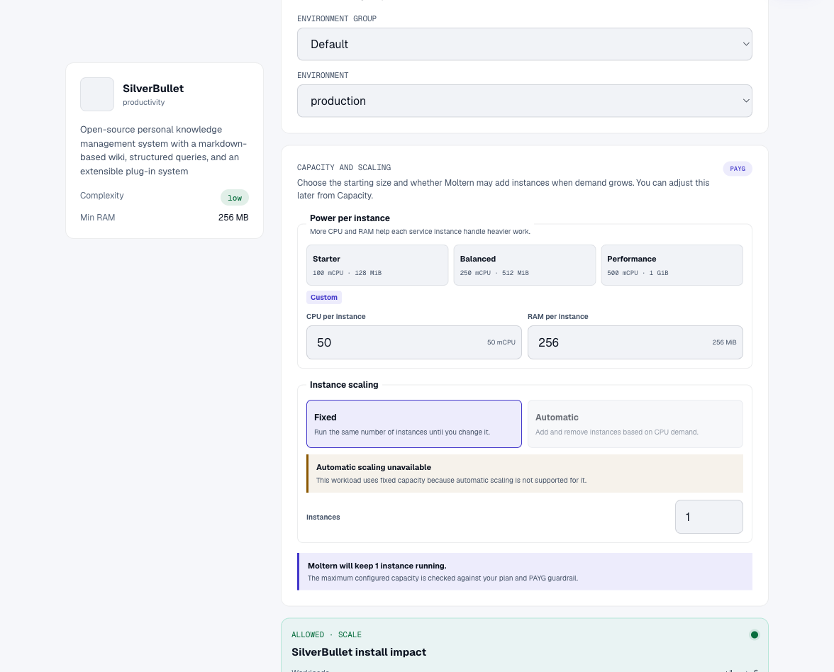 Real SilverBullet service deployment preview in Moltern