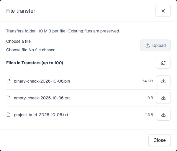 The real Moltern file-transfer dialog listing uploaded files and individual download actions
