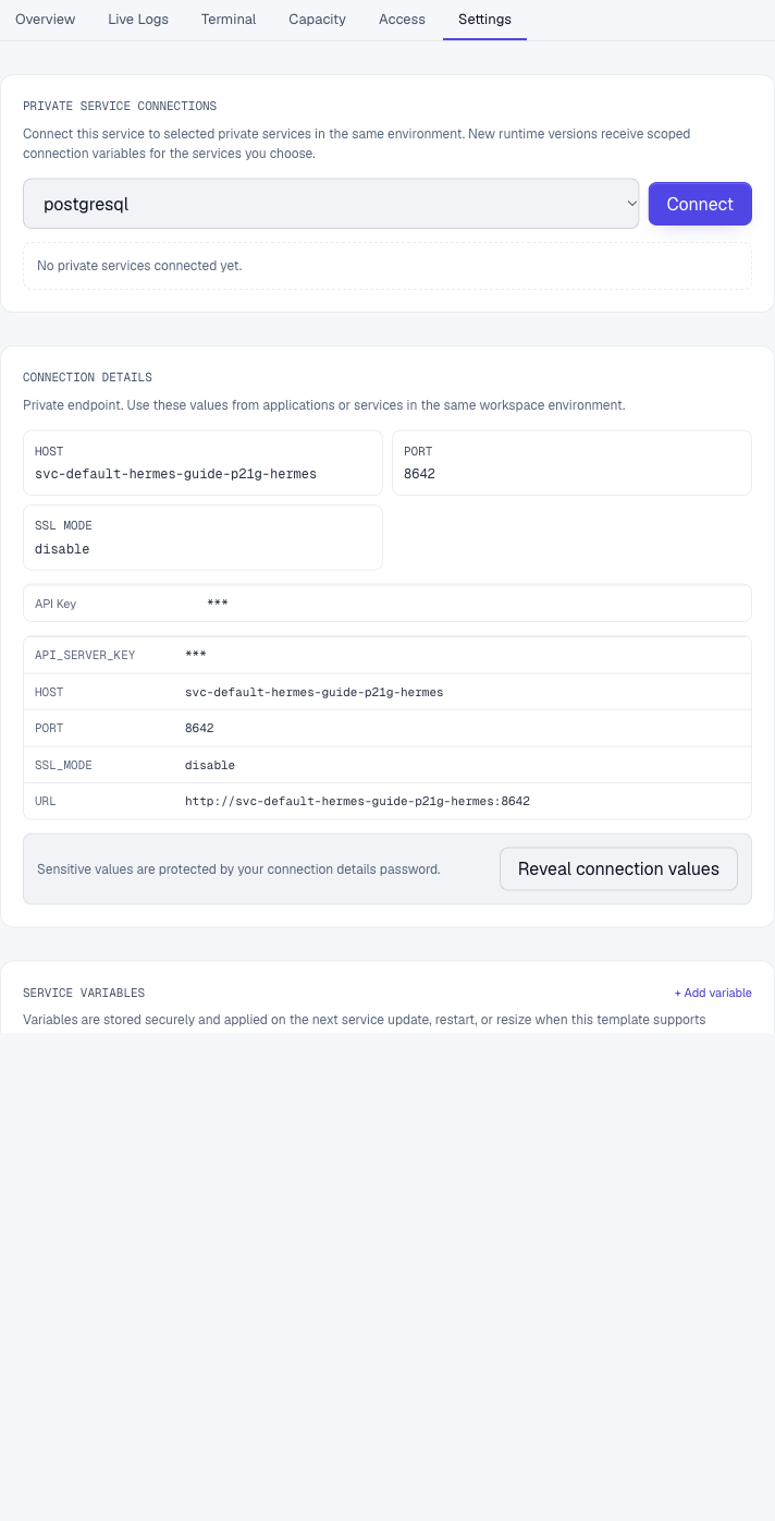 Hermes private connection details with credentials masked