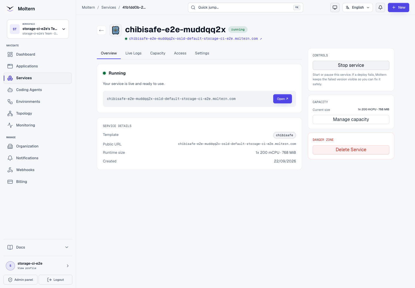 Running Chibisafe service with its generated HTTPS URL in Moltern