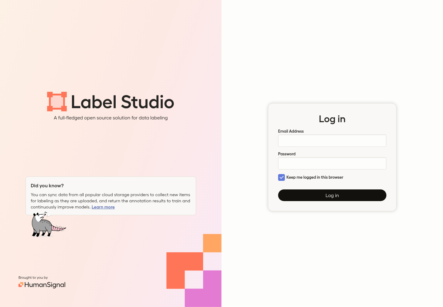 Protected Label Studio sign-in page after deployment