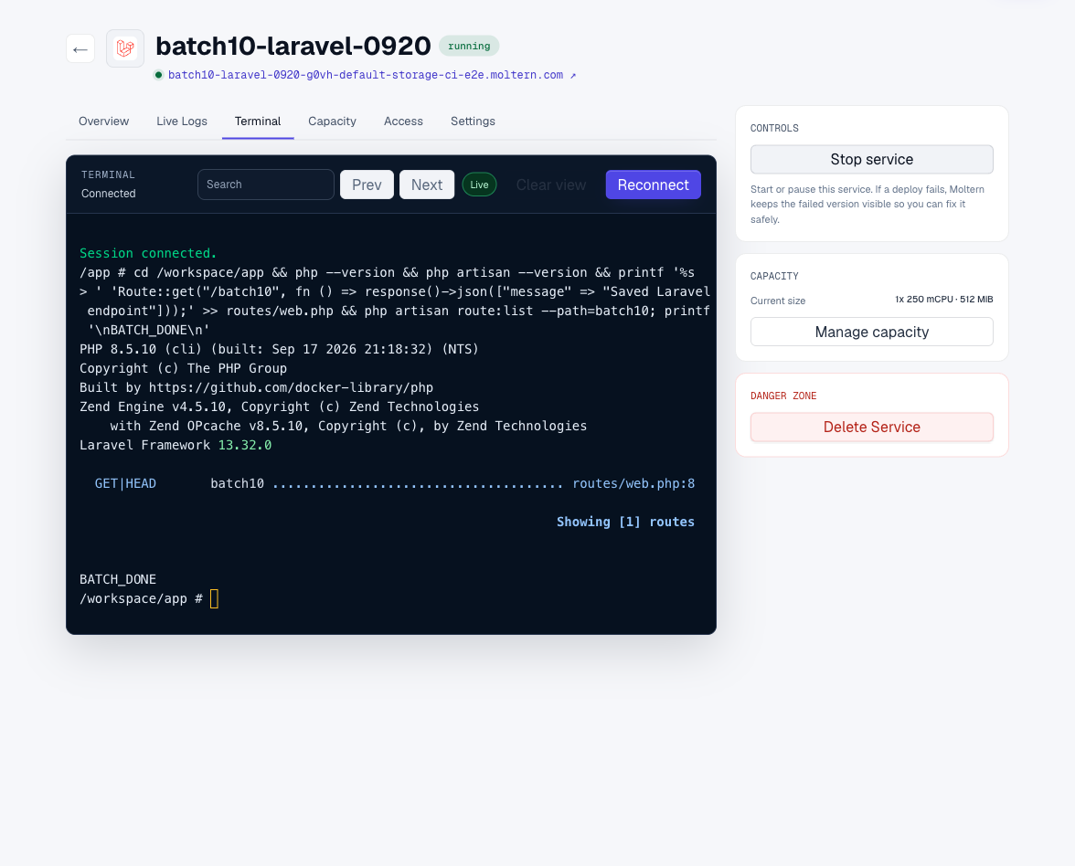 Laravel version and registered route in the real terminal