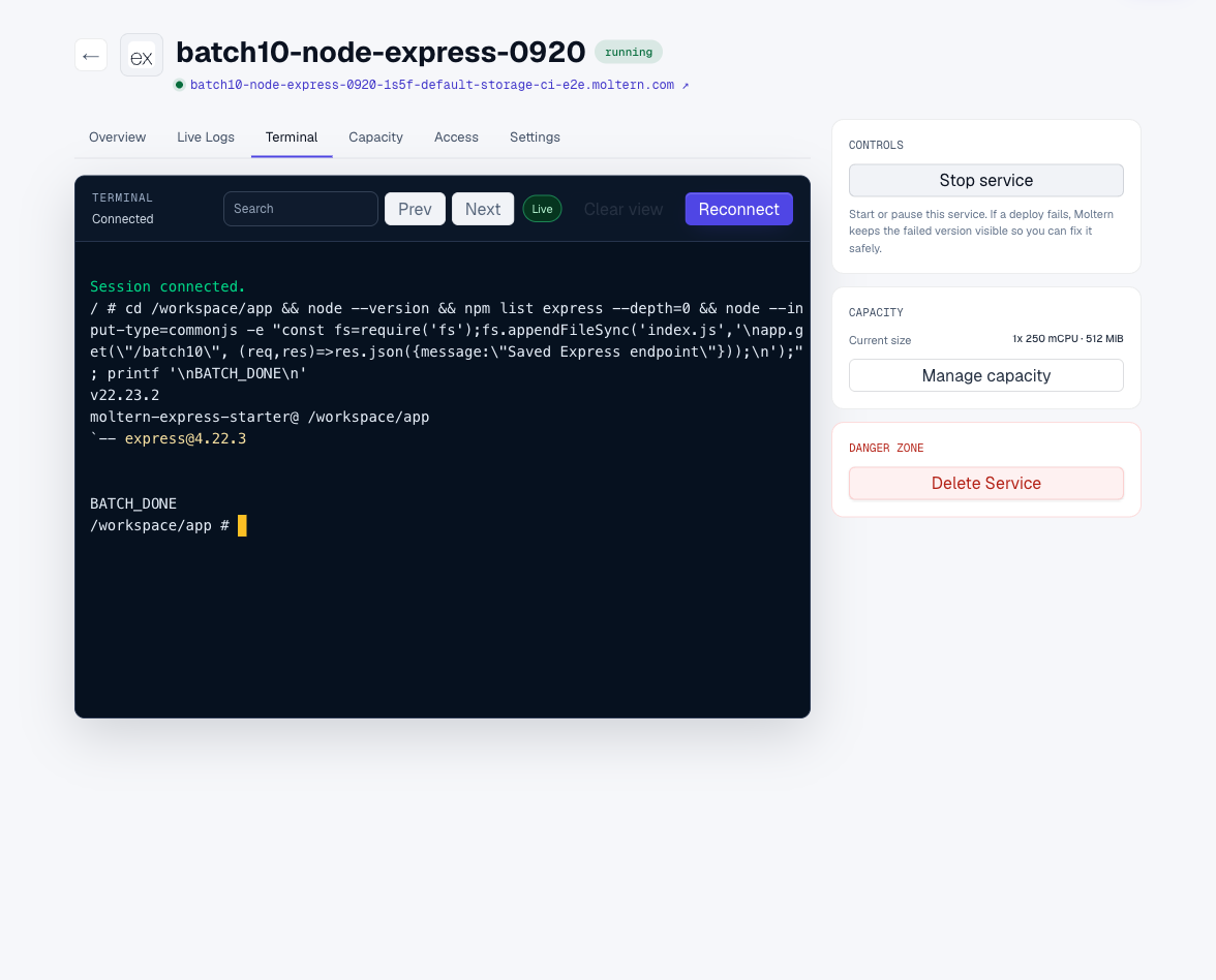 Express version check and endpoint edit in the real terminal