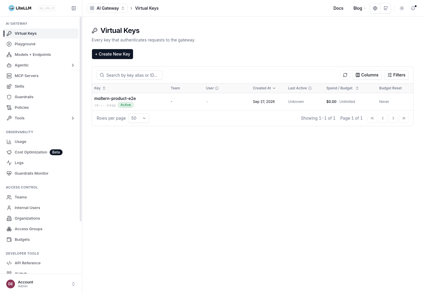A named LiteLLM virtual key in the Admin UI