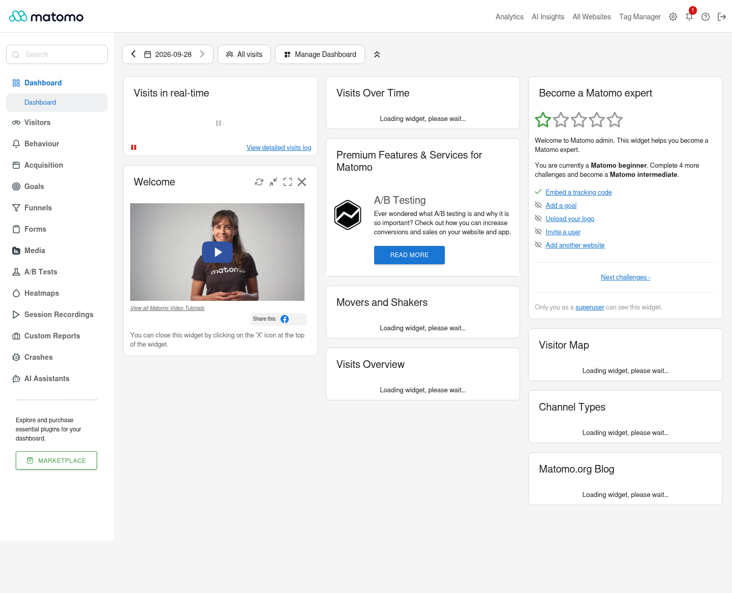 Matomo analytics dashboard reopened after a Moltern service restart