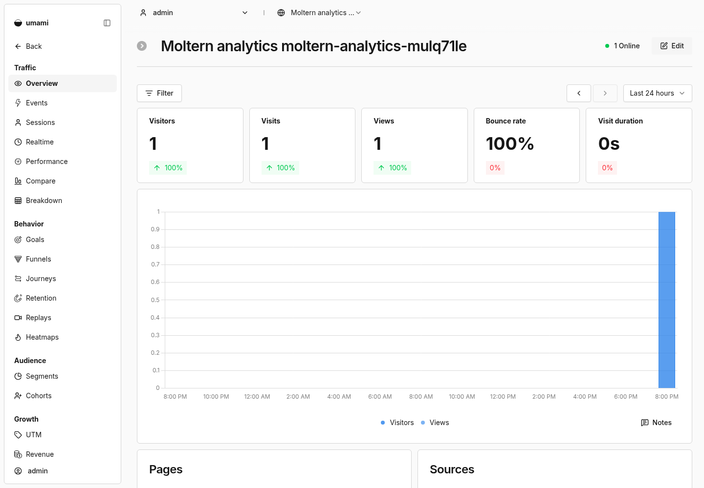 Umami website analytics retained after a Moltern restart